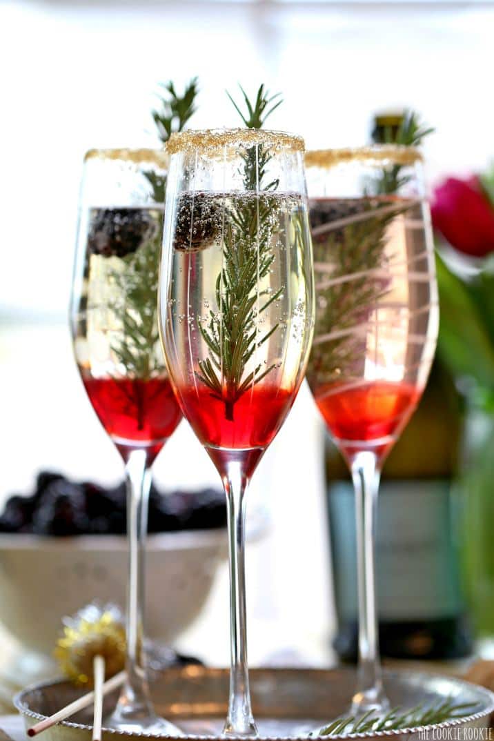 Christmas Holiday Wedding Cocktail Drink - Sparkling Red and Gold 
