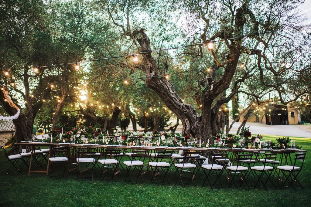 Wedding in Italy table setup under an old olive tree