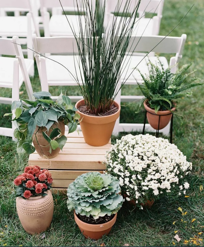 potted plants wedding decoration