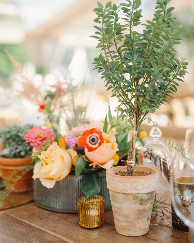 potted plants wedding decor